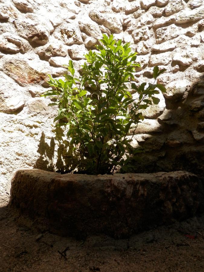 Calì B&B Alatri Ngoại thất bức ảnh